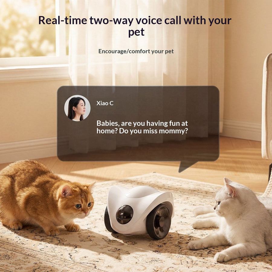 Pet Toys